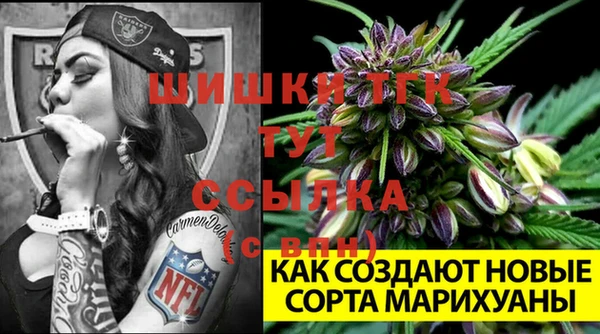 ПСИЛОЦИБИНОВЫЕ ГРИБЫ Вязьма