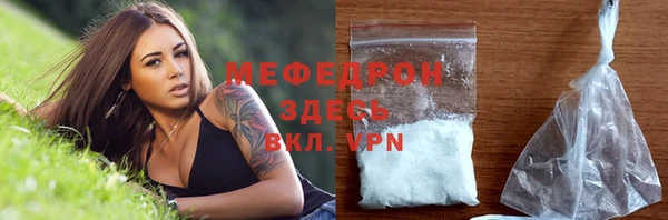гашик Вяземский