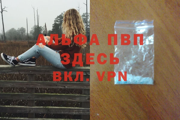 гашик Вяземский