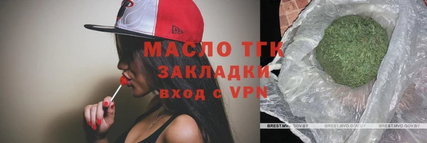 гашик Вяземский