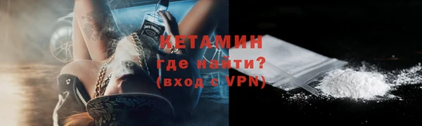 гашик Вяземский