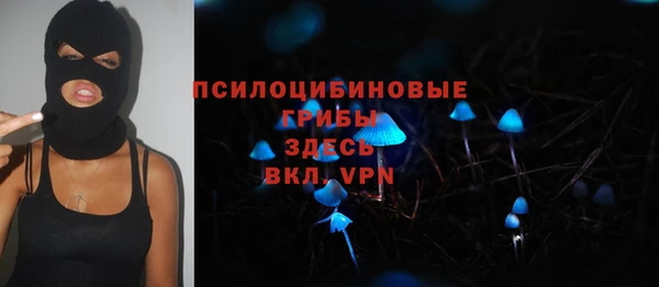 ПСИЛОЦИБИНОВЫЕ ГРИБЫ Вязьма