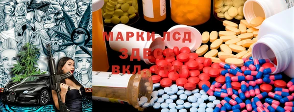 гашик Вяземский