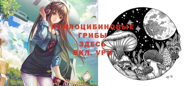 гашик Вяземский