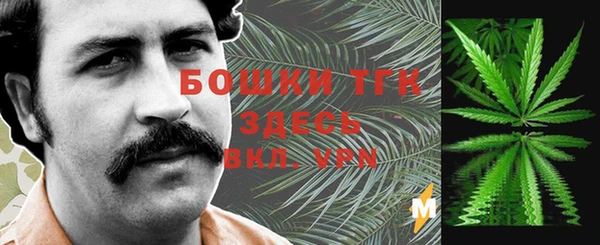 ПСИЛОЦИБИНОВЫЕ ГРИБЫ Вязьма