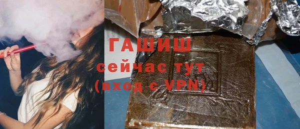 гашик Вяземский