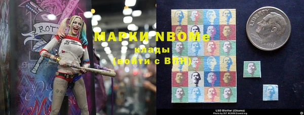 гашик Вяземский