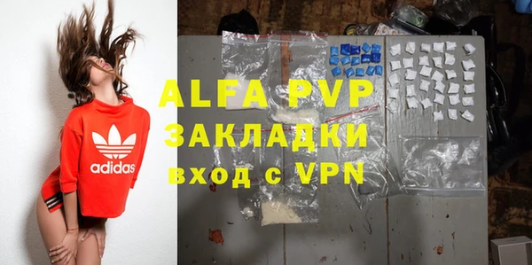 ПСИЛОЦИБИНОВЫЕ ГРИБЫ Вязьма