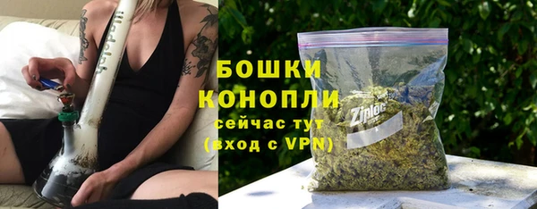 гашик Вяземский
