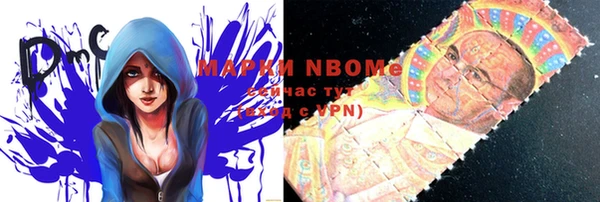 ПСИЛОЦИБИНОВЫЕ ГРИБЫ Вязьма