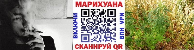 Конопля индика  mega зеркало  Северская  даркнет сайт 